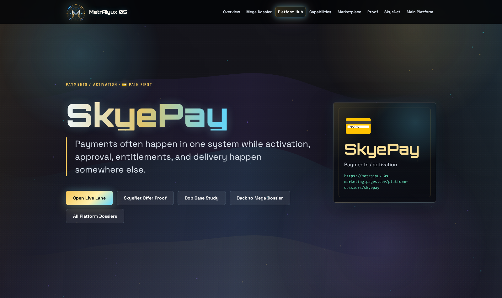 Skyepay founder checkout surface